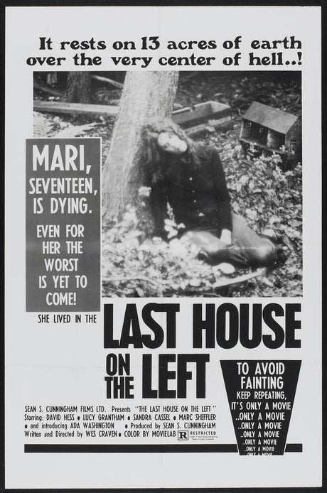 The Last House On The Left A2 Size Movie Poster-Pixel Demon