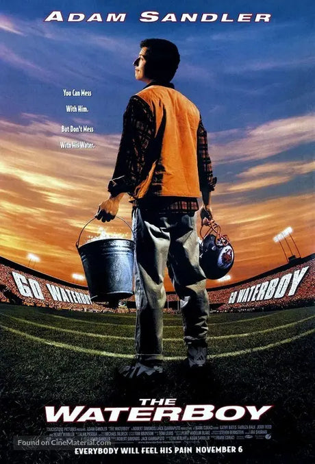 The Waterboy A2 Movie Poster-Pixel Demon