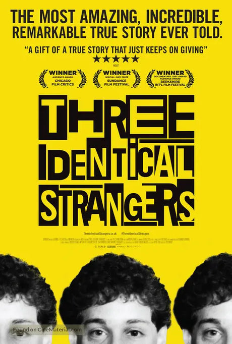 Pixel Demon Three Identical Strangers Movie Poster A2 Size