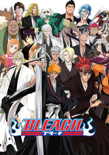 Anime Bleach A2 Size Posters-Pixel Demon